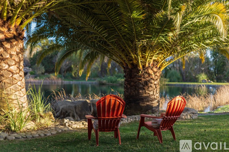 Two red chairs are placed on the grass near a palm tree.