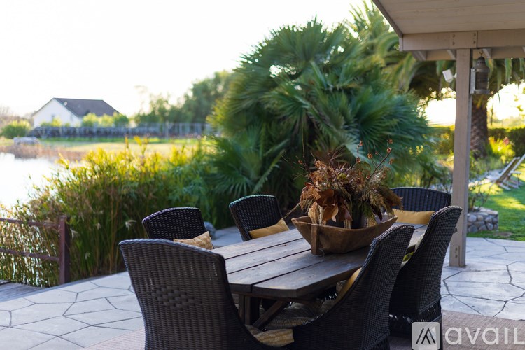 A patio table with chairs and a potted plant.
