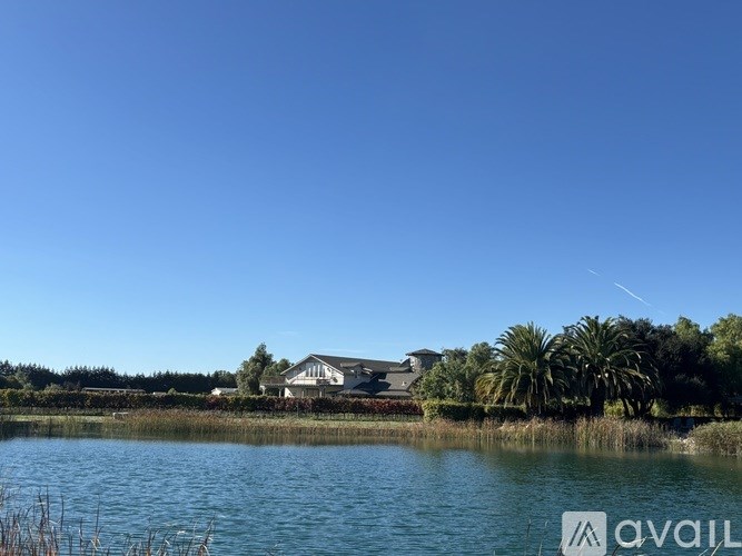 A duck and a goose are in a pond.