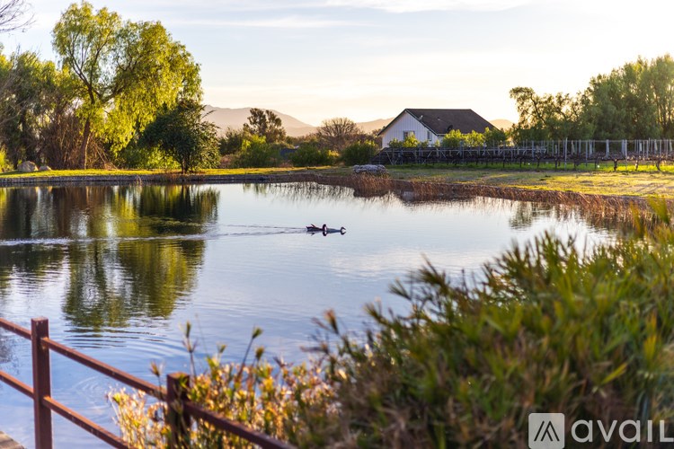 A serene lake with a person kayaking and a house in the background.