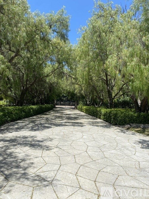 A pathway with a hexagonal pattern is surrounded by green trees.