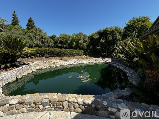 A stone wall surrounds a greenish pool with a waterfall.