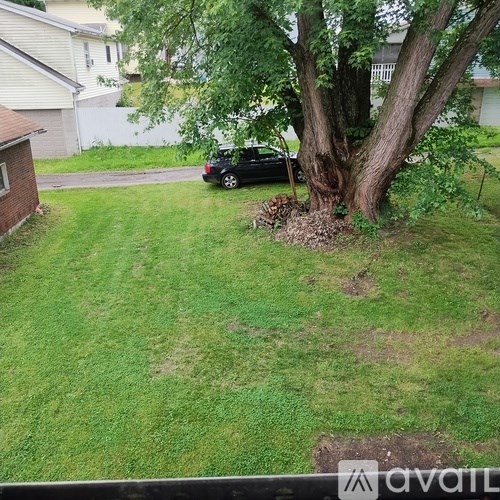 A black car is parked in a driveway next to a tree.