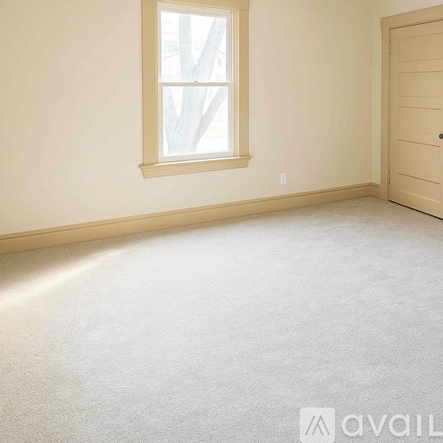 A room with a carpeted floor, a window, and a door.