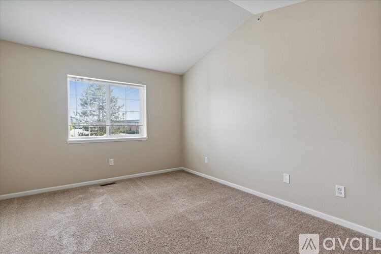 A room with a carpeted floor and a window showing a tree outside.