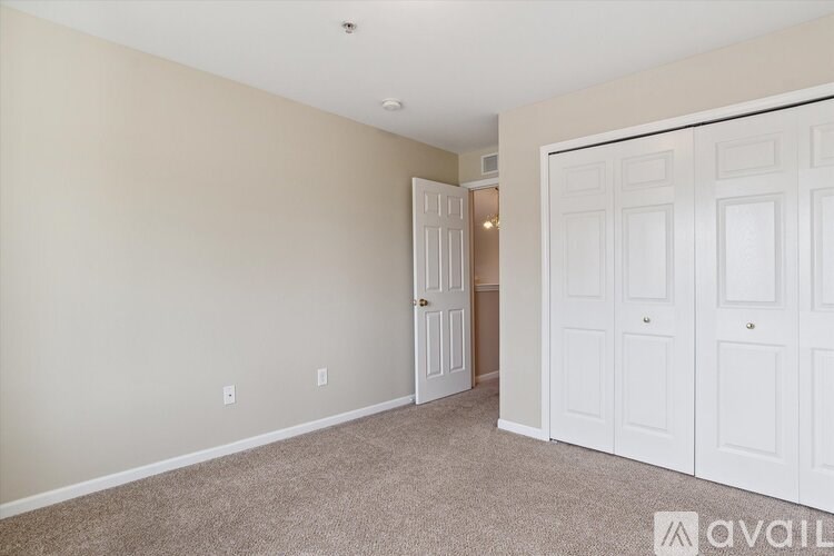 A room with a carpeted floor and two white doors.