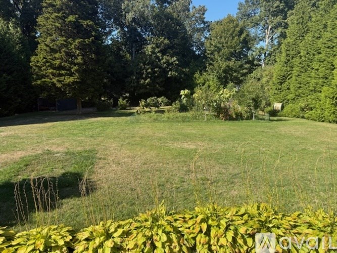 A field with trees and a sign that says "Novak".