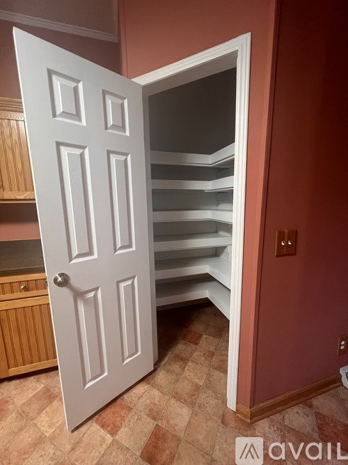 A white door is open to reveal a pantry with shelves.