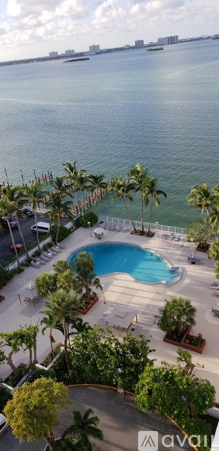 A pool surrounded by palm trees and a view of the water.