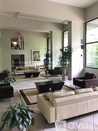 A living room with a white couch and a plant.