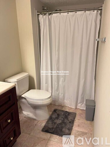 A bathroom with a toilet, a shower curtain, and a rug.