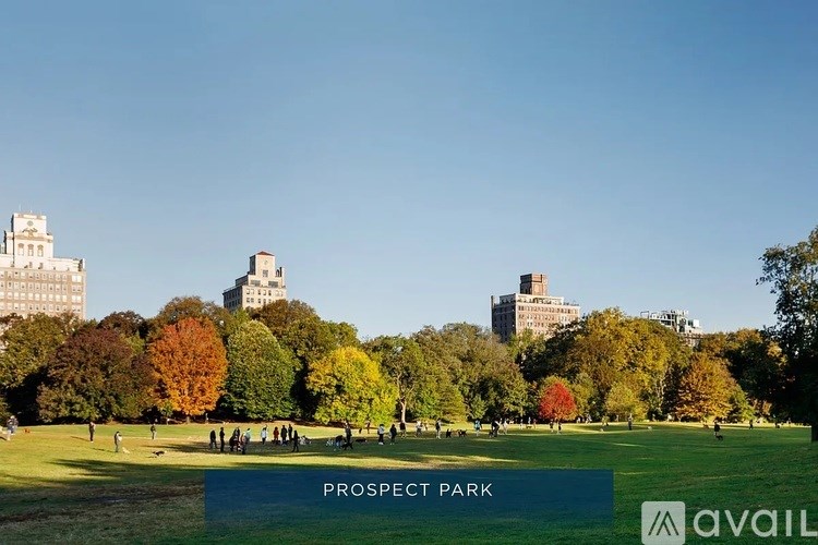 A park with trees and people walking.