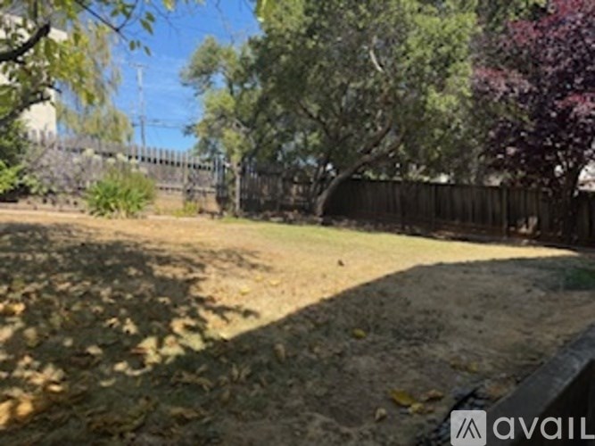 A backyard with a fence and trees.