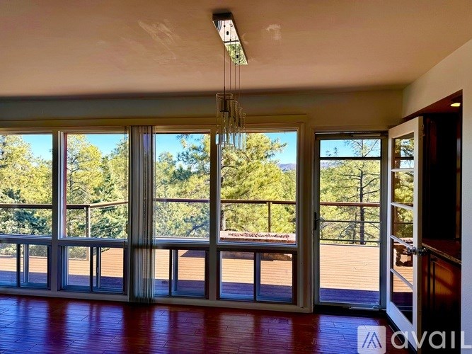 A room with a view of trees through the sliding glass doors.