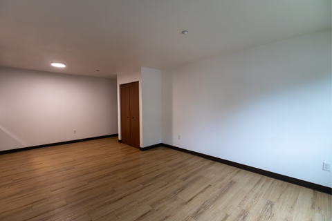 A room with a wooden floor and a brown door.