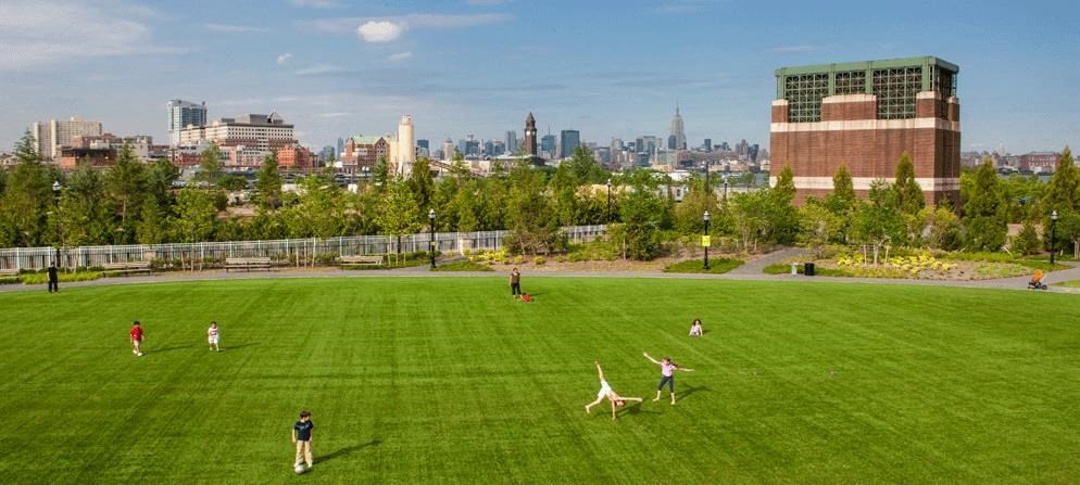 a group of people playing soccer on a green field