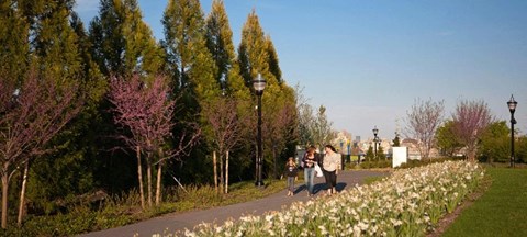 a group of people walking down a path in a park