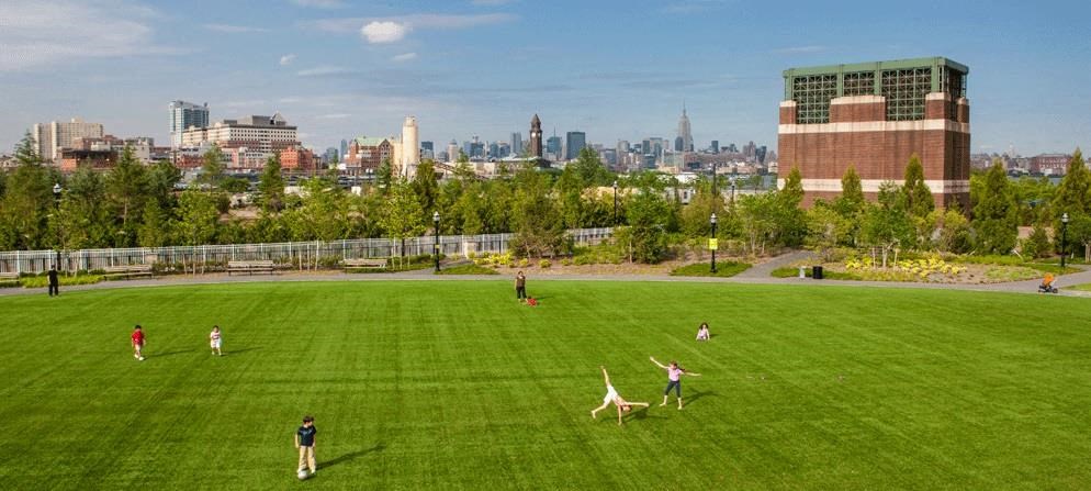 a group of people playing soccer on a green field