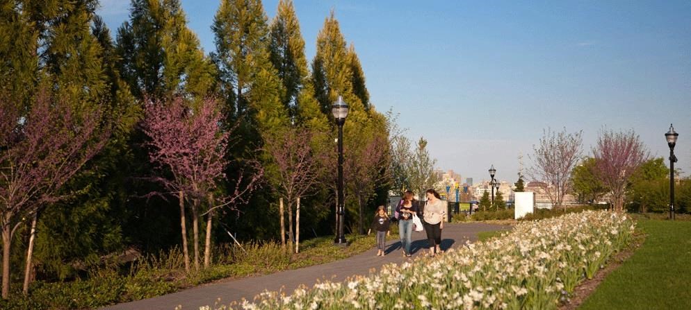 a group of people walking down a path in a park