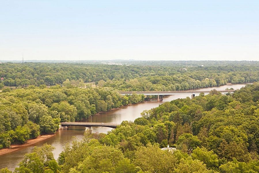 a bridge over a river in the middle of a forest