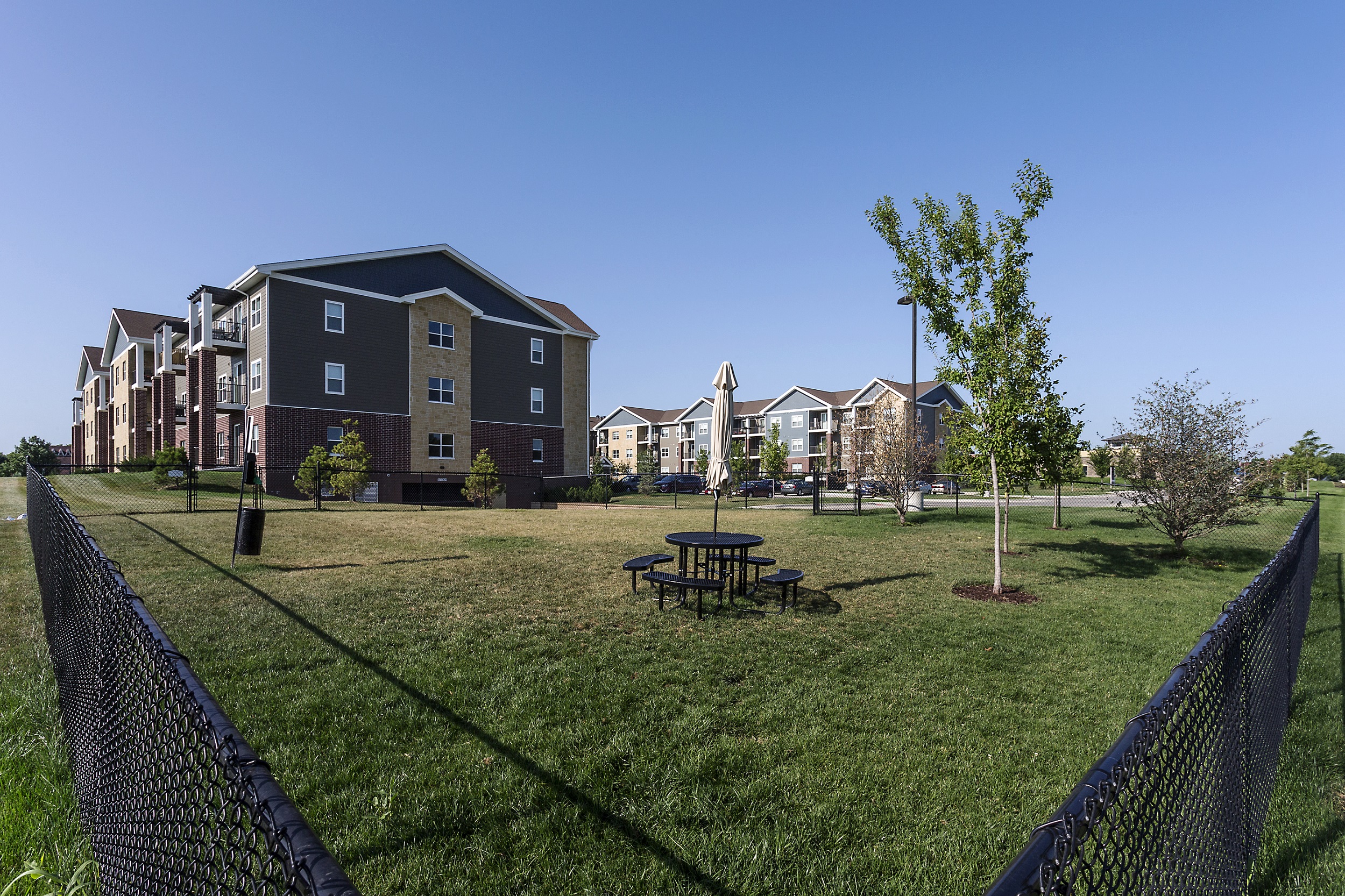 fenced-in park for dogs with trees just behind the apartment building