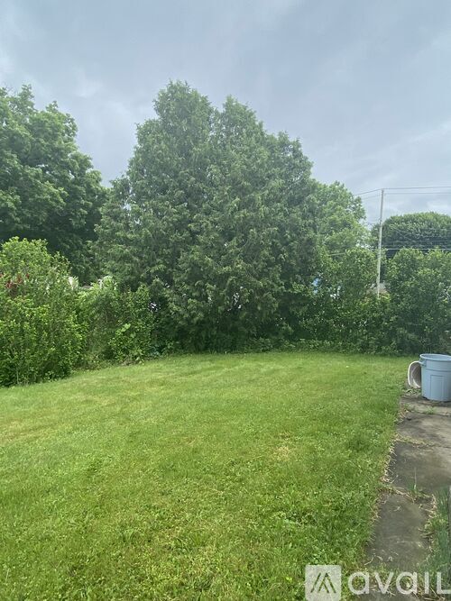 A backyard with a green lawn and trees.