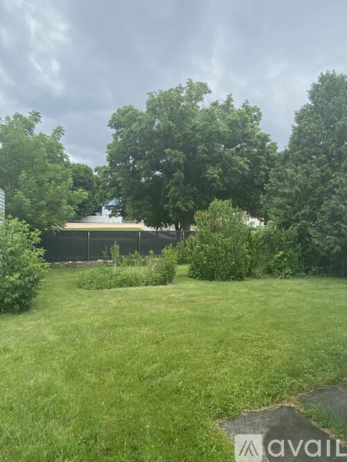A grassy area with trees and a fence in the background.