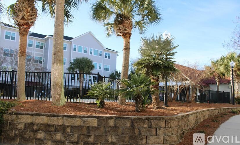 A building with a white facade is surrounded by palm trees.