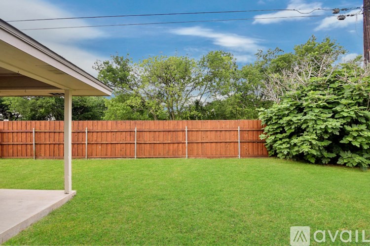 A backyard with a wooden fence and a green bush.
