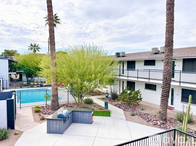 A pool surrounded by a palm tree and a building.