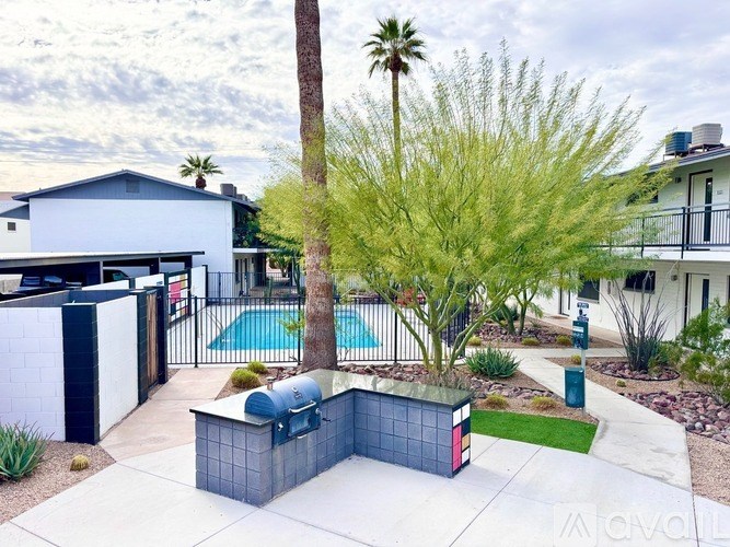 A modern house with a pool and a tall palm tree.