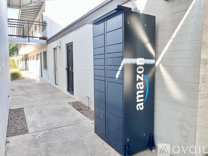 A large Amazon storage unit is located on a sidewalk.