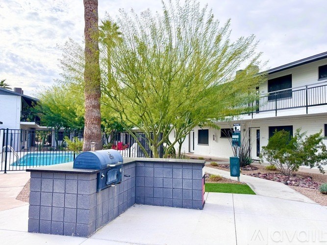 A modern house with a pool and a tall palm tree.