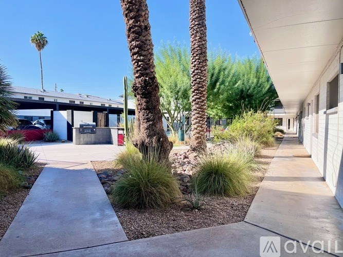 A sunny day at a residential area with palm trees and a clear blue sky.