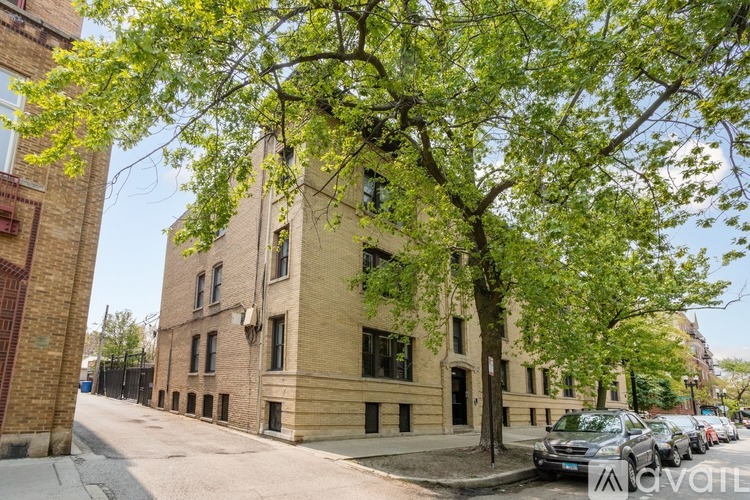 A tree with green leaves is in front of a building.