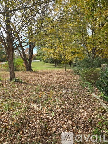 A path covered in leaves leads through a wooded area.