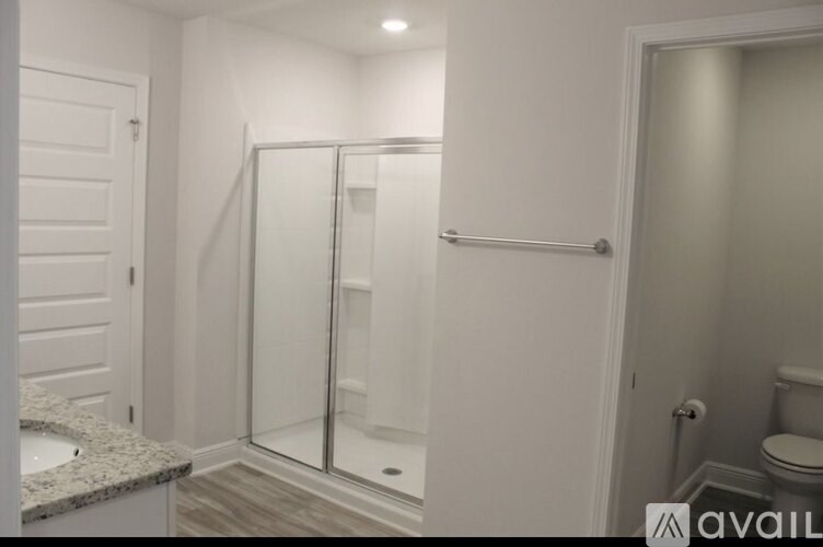 A bathroom with a walk-in shower and a toilet.