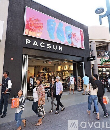 A group of people are walking in front of a PACSUN store.