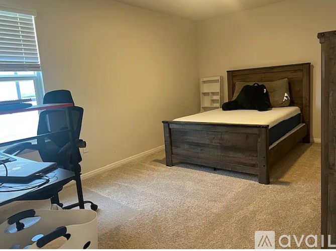 A house with a trampoline in the backyard.