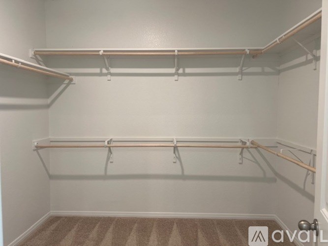 A white closet with two shelves and a carpeted floor.