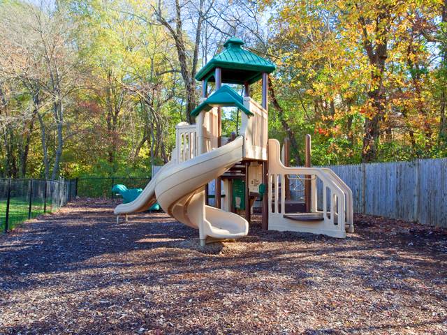 a playground with a slide and a bird house