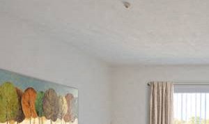 LR view to balcony 590 Middle St Studio-2 Beds Apartment for Rent - Photo Gallery 6