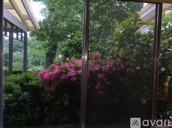 A window with a view of a garden with pink flowers.