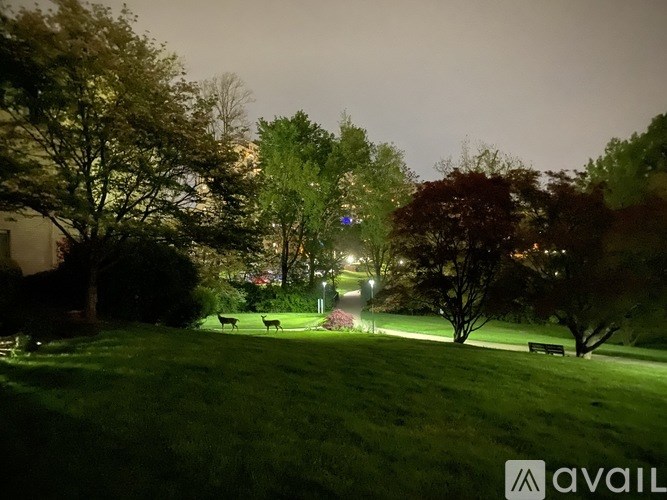 A park at night with a bench and trees.