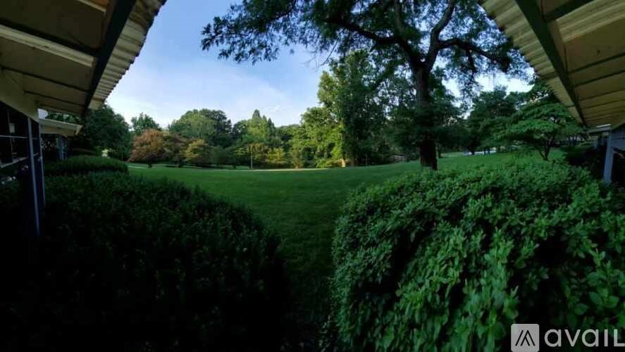 A lush green lawn with a large tree in the distance and a building in the foreground.