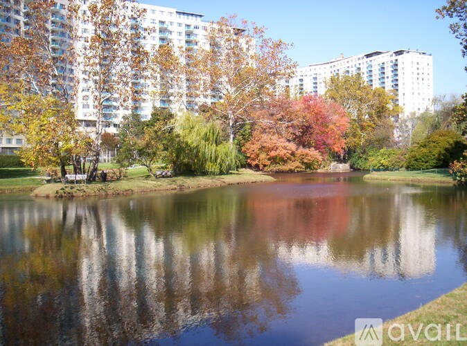 A serene lake surrounded by trees and buildings in the background.