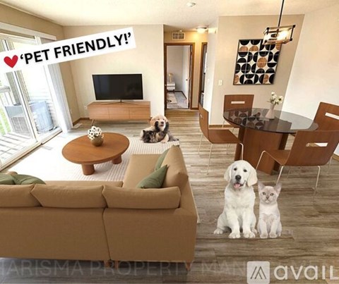 A living room with a couch, a coffee table, a TV, and a dining table with chairs, and two dogs sitting on the floor.