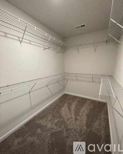 Empty walk-in closet with shelves and carpeted floor.