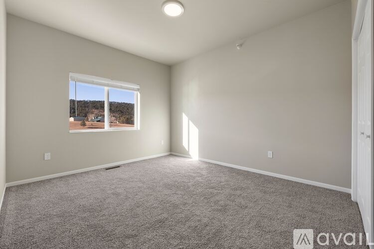 A room with a carpeted floor and a window showing a view of a mountainous landscape.