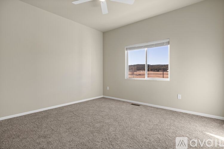 A room with a carpeted floor and a window showing a barren landscape outside.